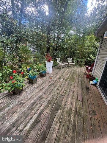 22368 HOLLY OAK LN, Lewes, DE 19958