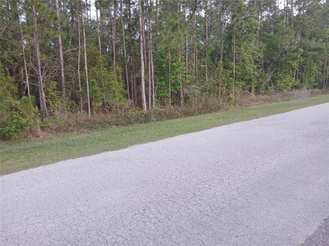 1102 HIDDEN PALMS DRIVE, Davenport, FL 33897