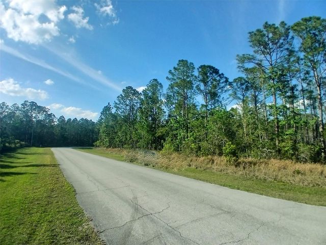 1102 HIDDEN PALMS DRIVE, Davenport, FL 33897