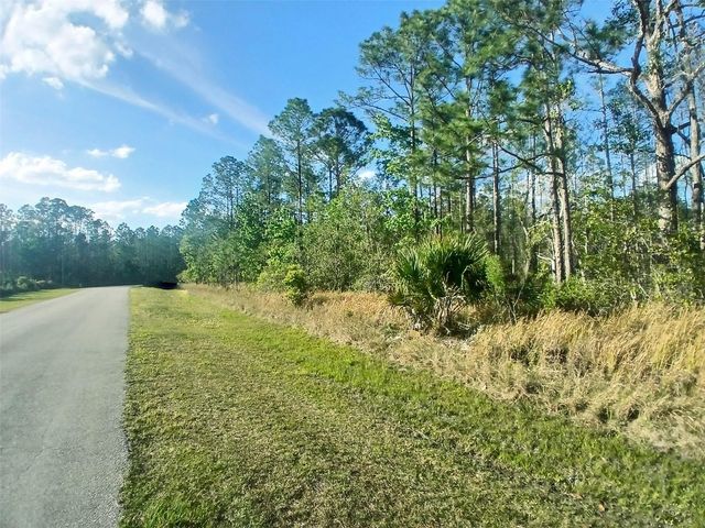 1102 HIDDEN PALMS DRIVE, Davenport, FL 33897