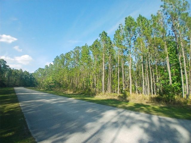 1102 HIDDEN PALMS DRIVE, Davenport, FL 33897