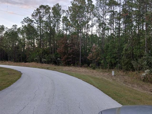 1102 HIDDEN PALMS DRIVE, Davenport, FL 33897