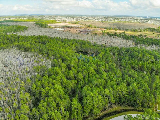 1102 HIDDEN PALMS DRIVE, Davenport, FL 33897