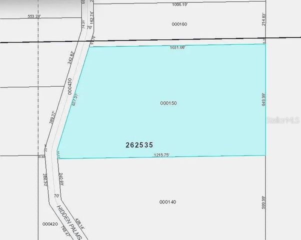 1102 HIDDEN PALMS DRIVE, Davenport, FL 33897