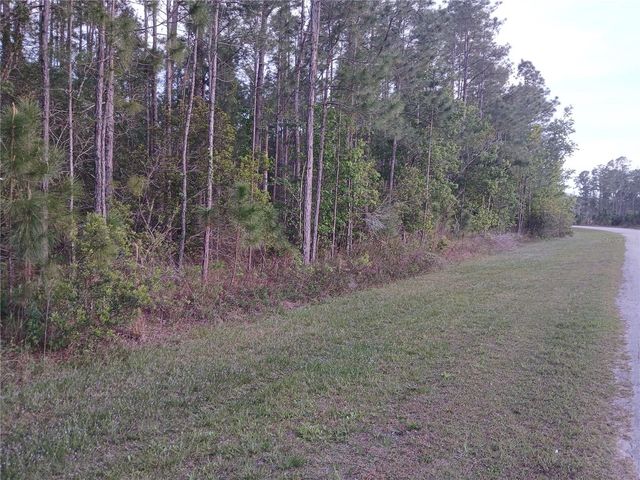 1102 HIDDEN PALMS DRIVE, Davenport, FL 33897