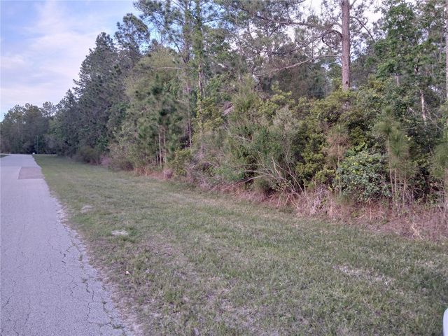 1102 HIDDEN PALMS DRIVE, Davenport, FL 33897