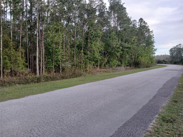 1102 HIDDEN PALMS DRIVE, Davenport, FL 33897