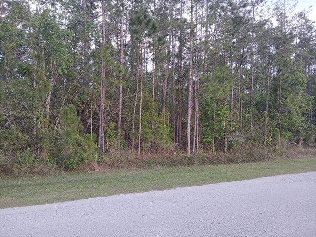 1102 HIDDEN PALMS DRIVE, Davenport, FL 33897