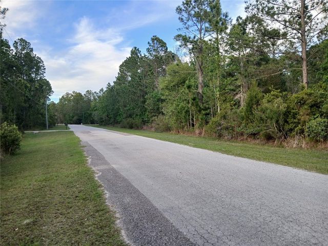 1102 HIDDEN PALMS DRIVE, Davenport, FL 33897