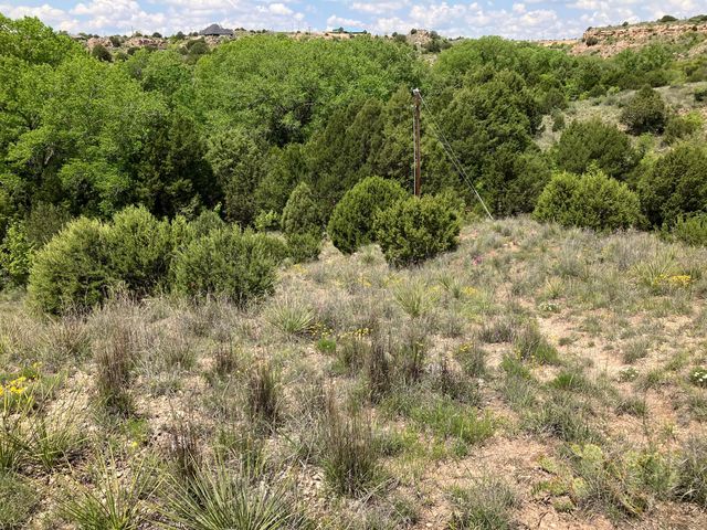 W Timbercreek Drive, Amarillo, TX 79118