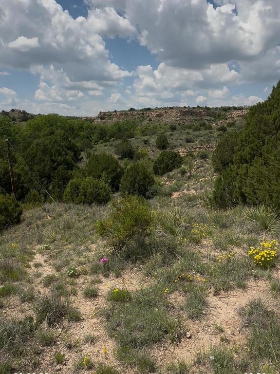 W Timbercreek Drive, Amarillo, TX 79118