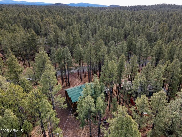 6436 MARK TWAIN Drive, Pinetop, AZ 85935