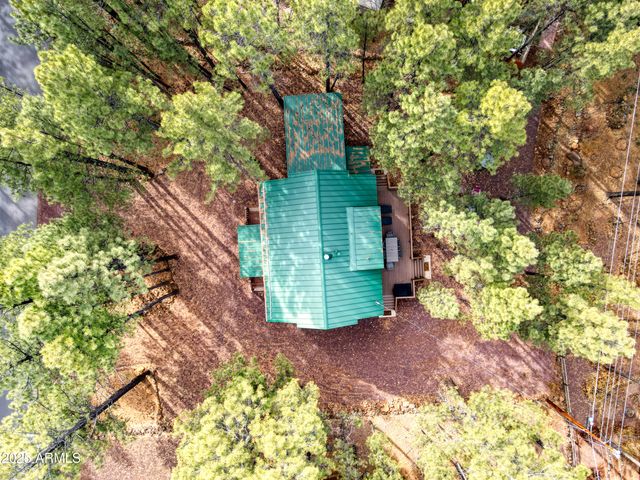 6436 MARK TWAIN Drive, Pinetop, AZ 85935