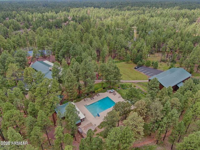 6436 MARK TWAIN Drive, Pinetop, AZ 85935