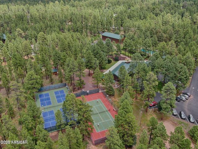 6436 MARK TWAIN Drive, Pinetop, AZ 85935