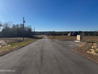 Shadow Wood - Lot 3 Drive, Perkinston, MS 39573