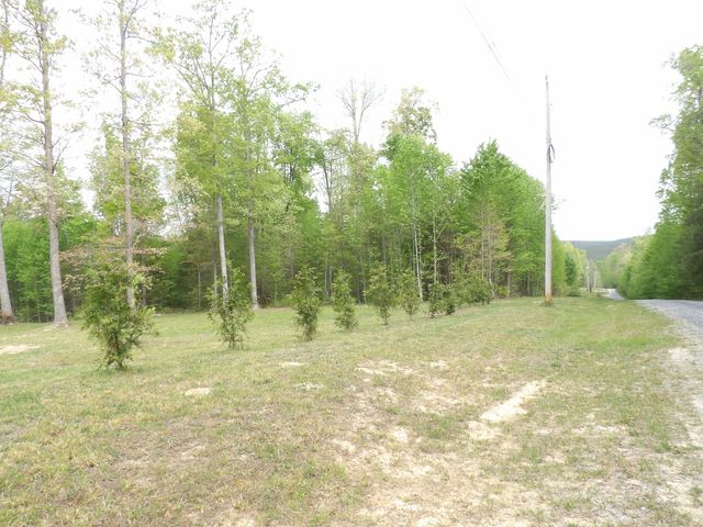 197 Echo Point Road, Dunlap, TN 37327
