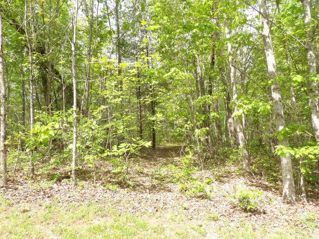 197 Echo Point Road, Dunlap, TN 37327