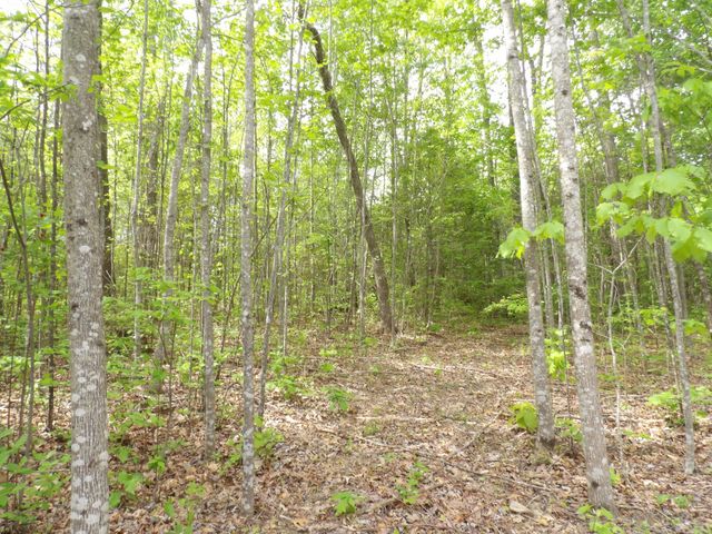 197 Echo Point Road, Dunlap, TN 37327