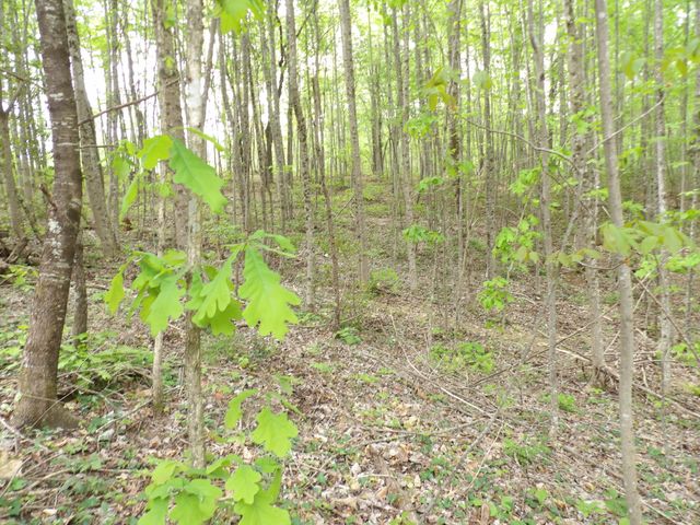 197 Echo Point Road, Dunlap, TN 37327