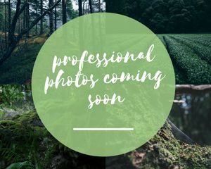 562 Walton Ferry Rd, Hendersonville, TN 37075