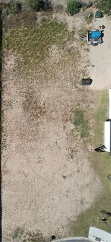 10701 Baylie Bear Drive, Edinburg, TX 78541