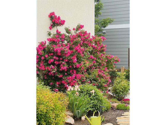 2252 Front Range Ct, Erie, CO 80516