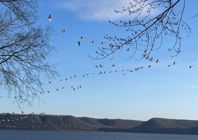 1300 1st Street, Pepin, WI 54759