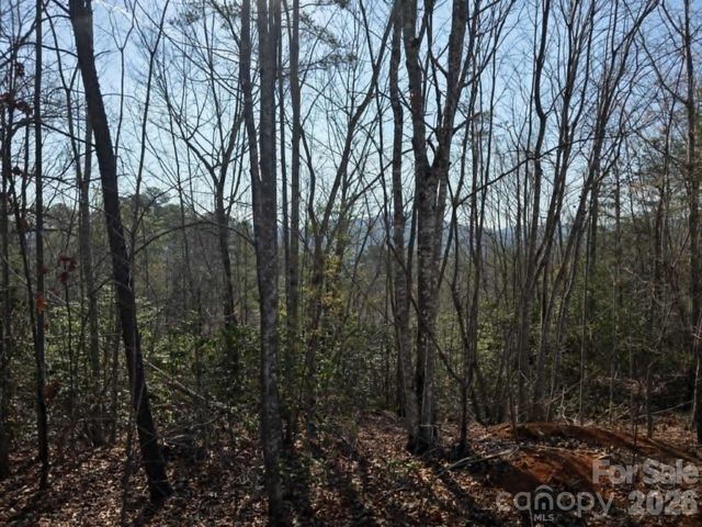 Lot 8 Kerlee Lane, Old Fort, NC 28762