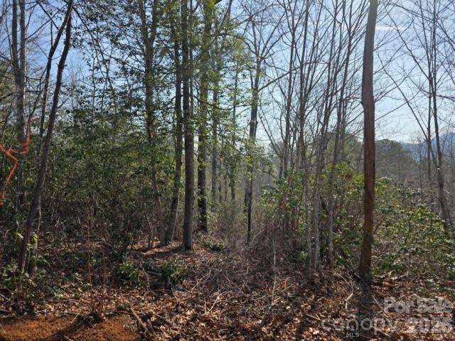 Lot 8 Kerlee Lane, Old Fort, NC 28762