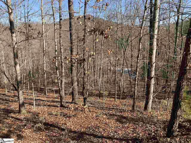 811 Highridge Parkway, Marietta, SC 29661