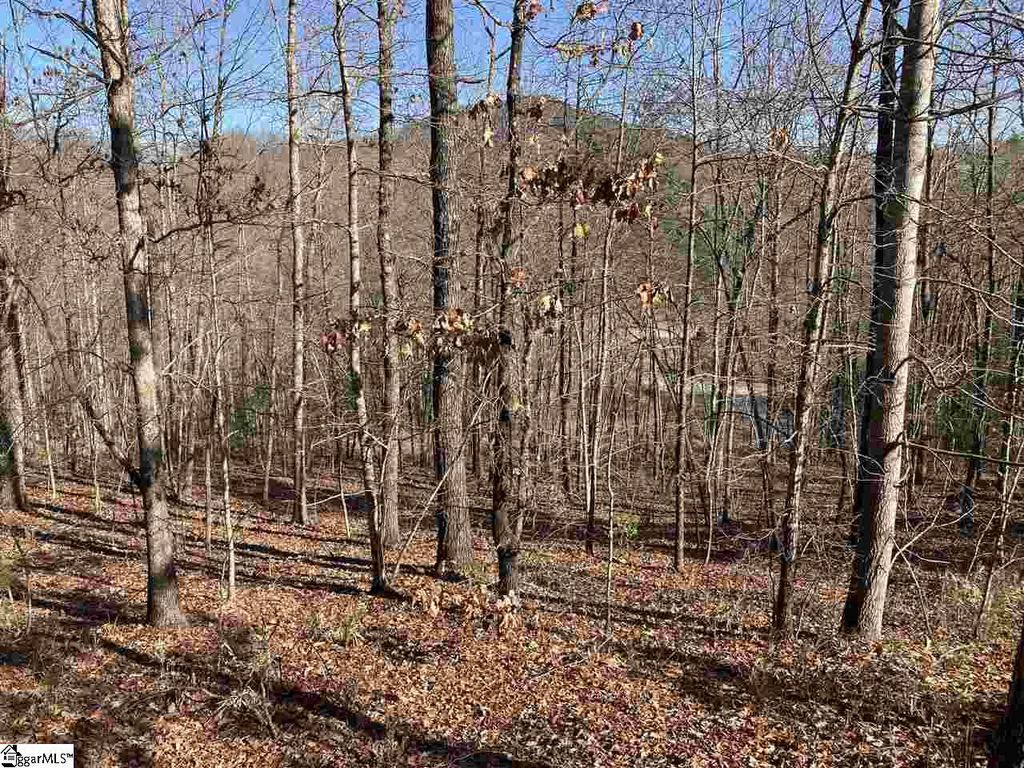 811 Highridge Parkway, Marietta, SC 29661