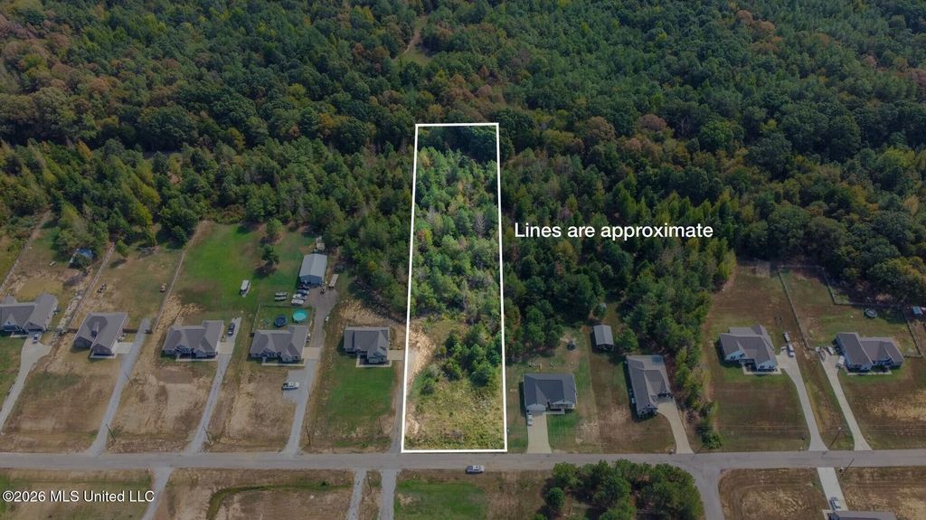 131 Deerfield Trace, Coldwater, MS 38618 — exterior