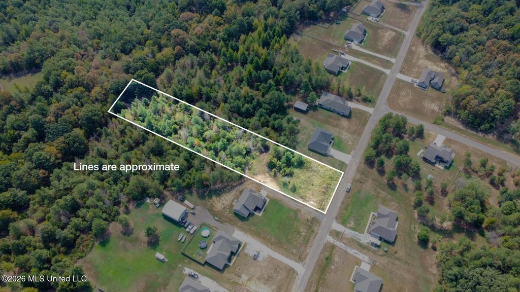 131 Deerfield Trace, Coldwater, MS 38618 — photo 2