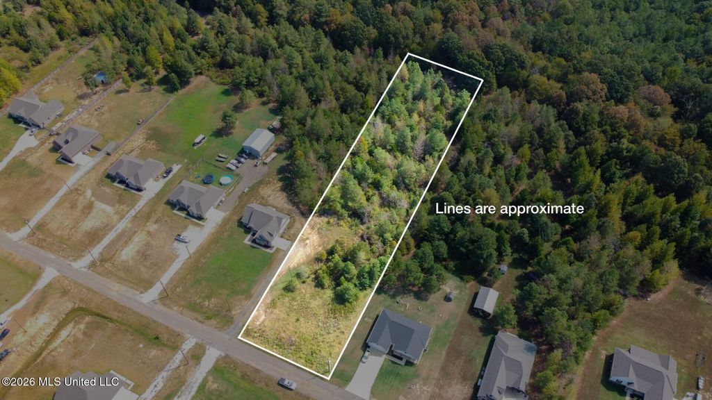 131 Deerfield Trace, Coldwater, MS 38618 — photo 3