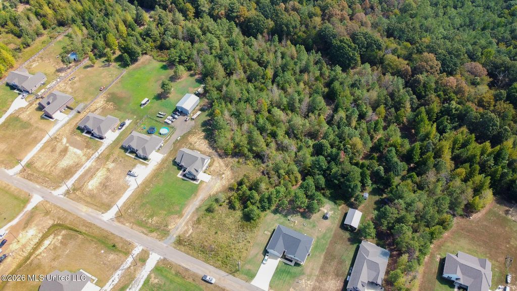 131 Deerfield Trace, Coldwater, MS 38618 — photo 4