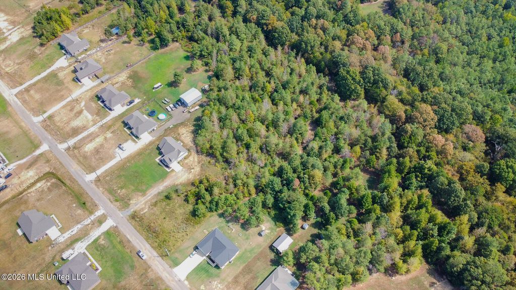 131 Deerfield Trace, Coldwater, MS 38618 — photo 5