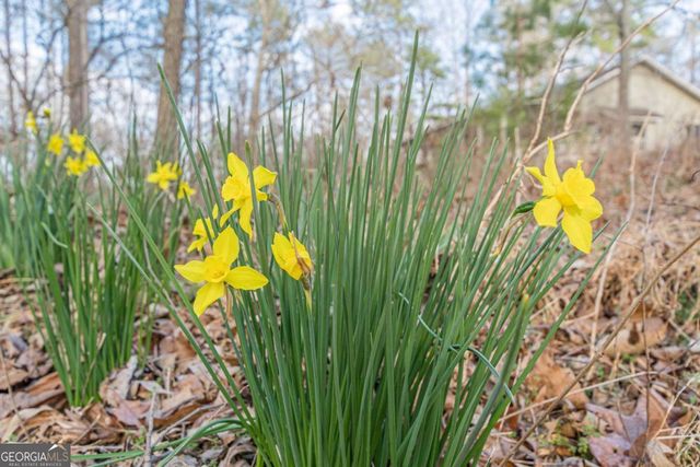 3300 Union Church Road SW, Stockbridge, GA 30281