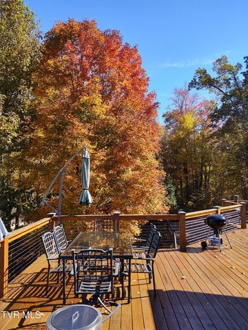 807 Vista Road, Butler, TN 37640
