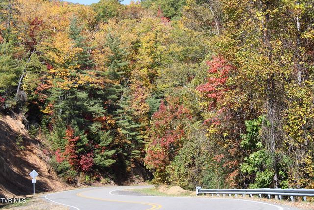 807 Vista Road, Butler, TN 37640