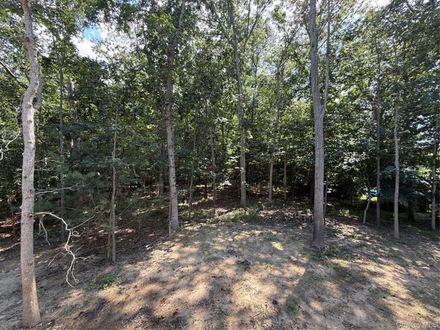 6 Scout Trail, Ridge, NY 11961