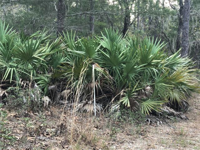6000 W CEDAR HILL STREET, Dunnellon, FL 34433
