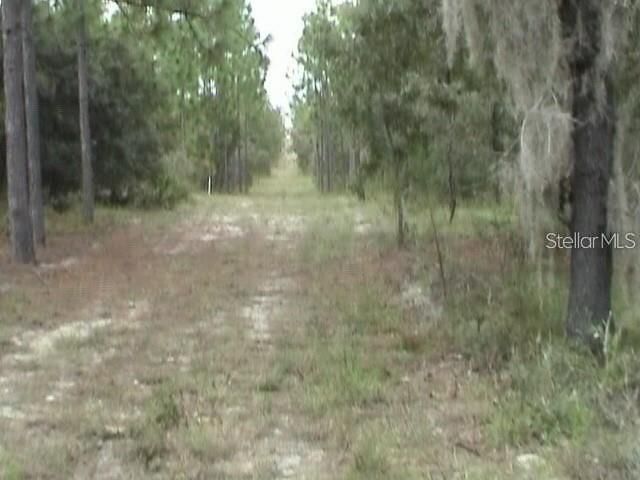 6000 W CEDAR HILL STREET, Dunnellon, FL 34433