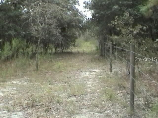 6000 W CEDAR HILL STREET, Dunnellon, FL 34433