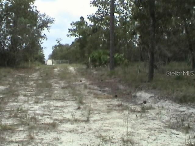 6000 W CEDAR HILL STREET, Dunnellon, FL 34433