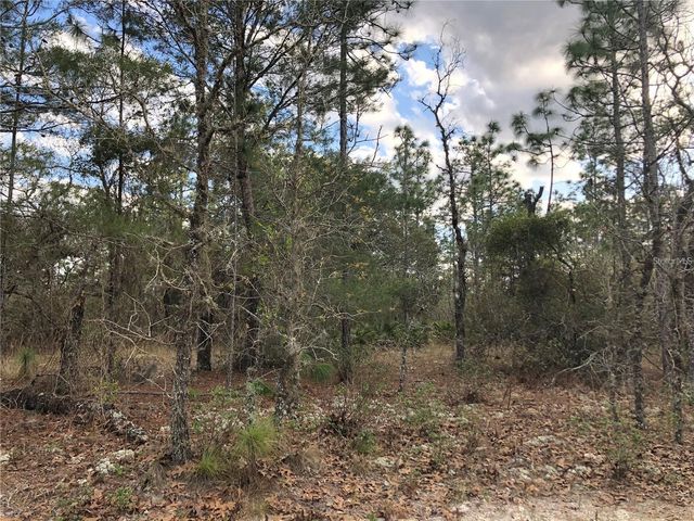 6000 W CEDAR HILL STREET, Dunnellon, FL 34433