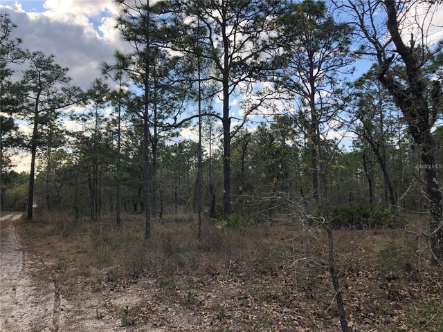 6000 W CEDAR HILL STREET, Dunnellon, FL 34433