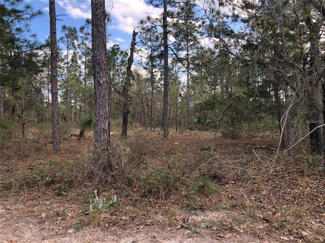 6000 W CEDAR HILL STREET, Dunnellon, FL 34433