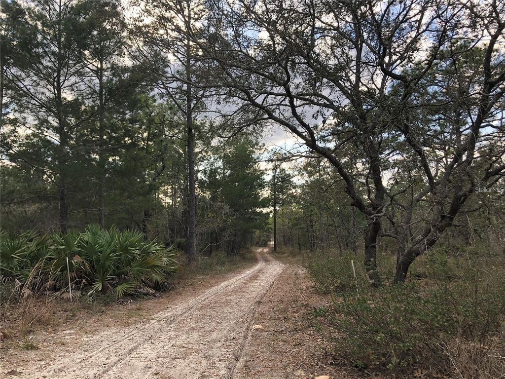 6000 W CEDAR HILL STREET, Dunnellon, FL 34433