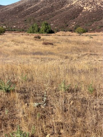 0 Cactus Valley, Hemet, CA 92544